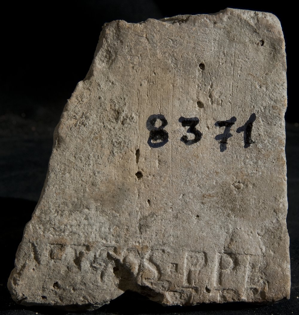 Inv. 8371.TIF