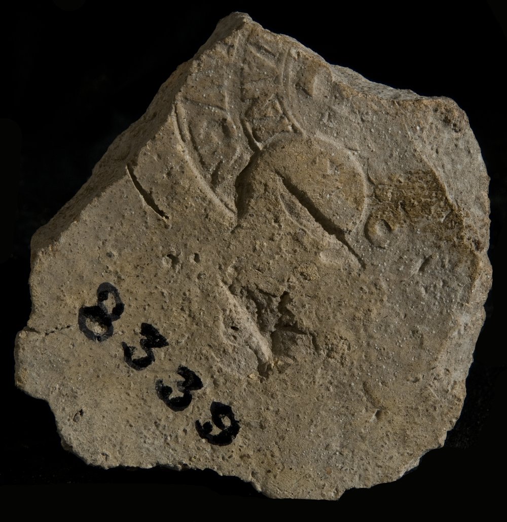 Inv. 8339.TIF