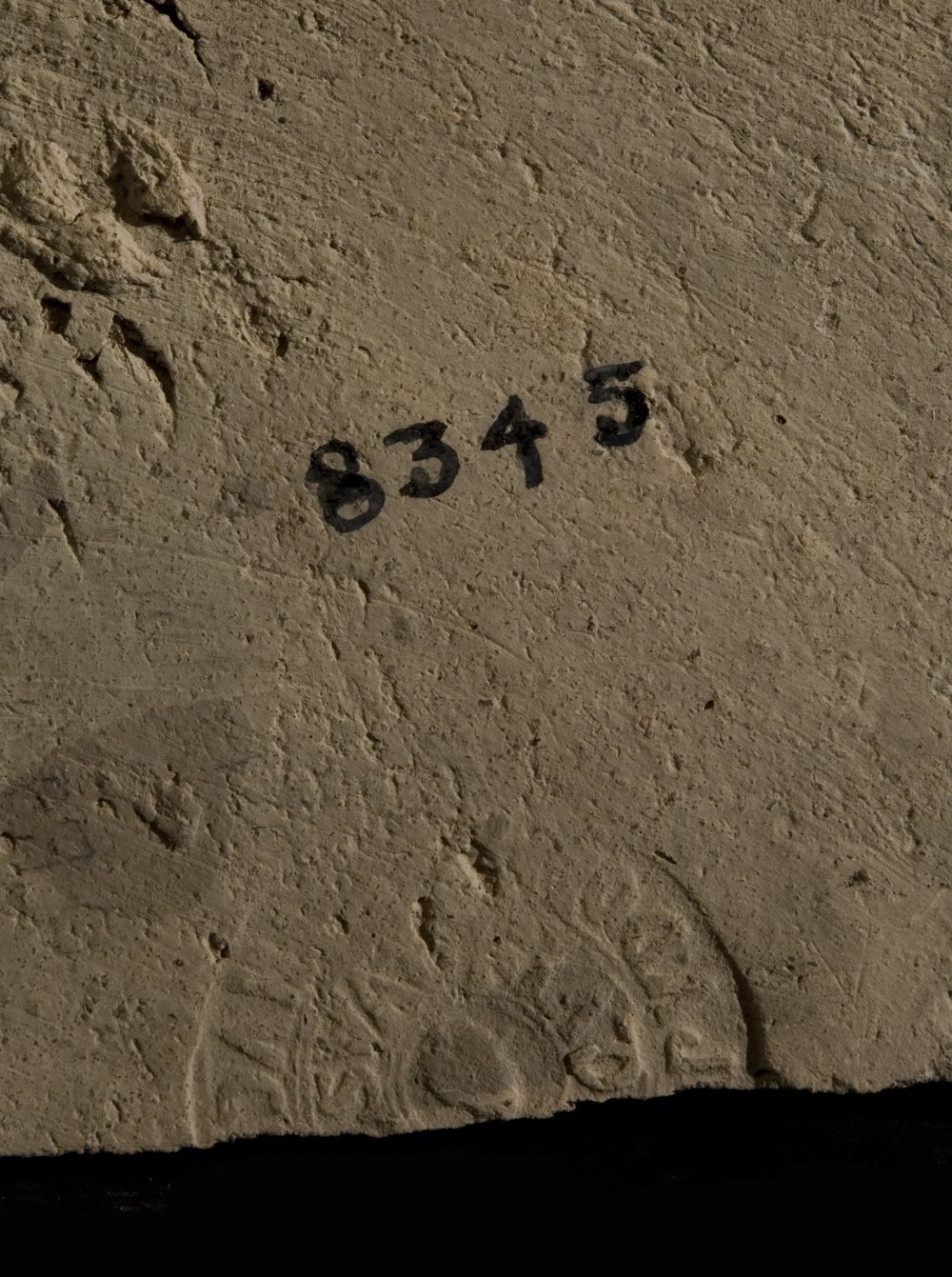 Inv. 8345.TIF