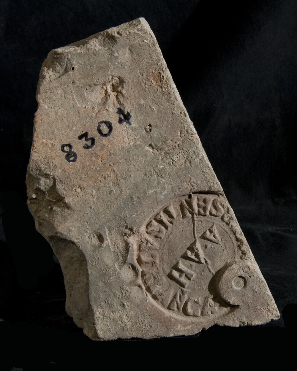 Inv. 8304.TIF