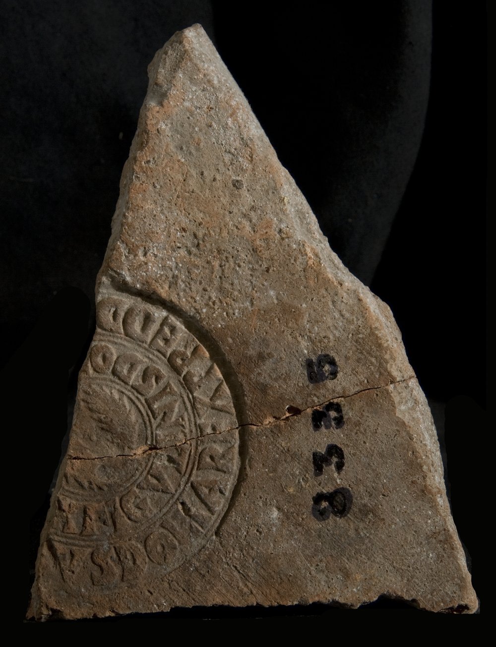 Inv. 8335.TIF