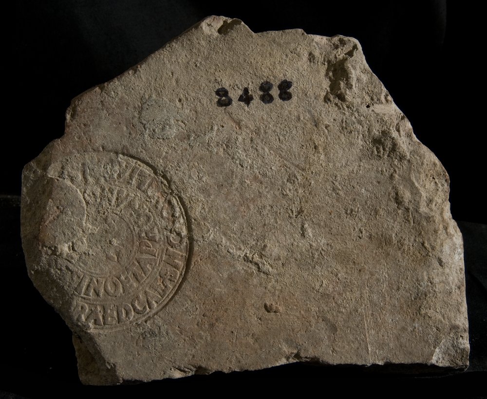 Inv. 8488.TIF