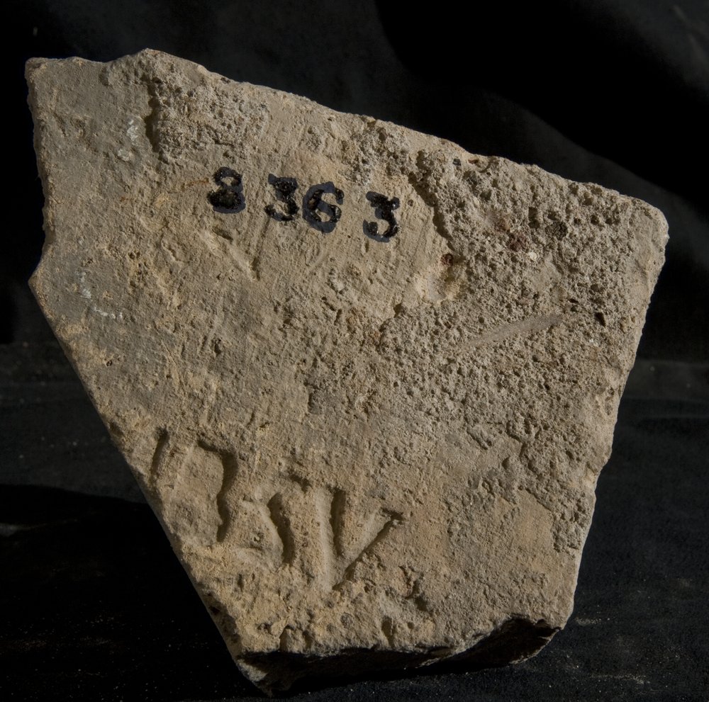 Inv. 8363.TIF