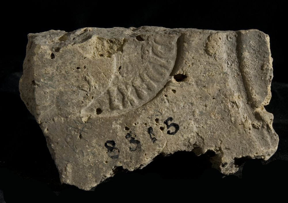 Inv. 8315.TIF