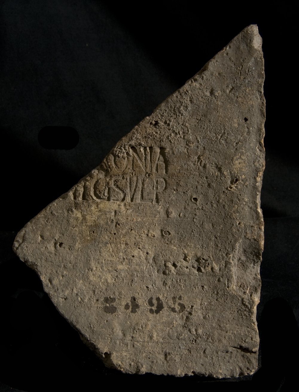 Inv. 8495.TIF