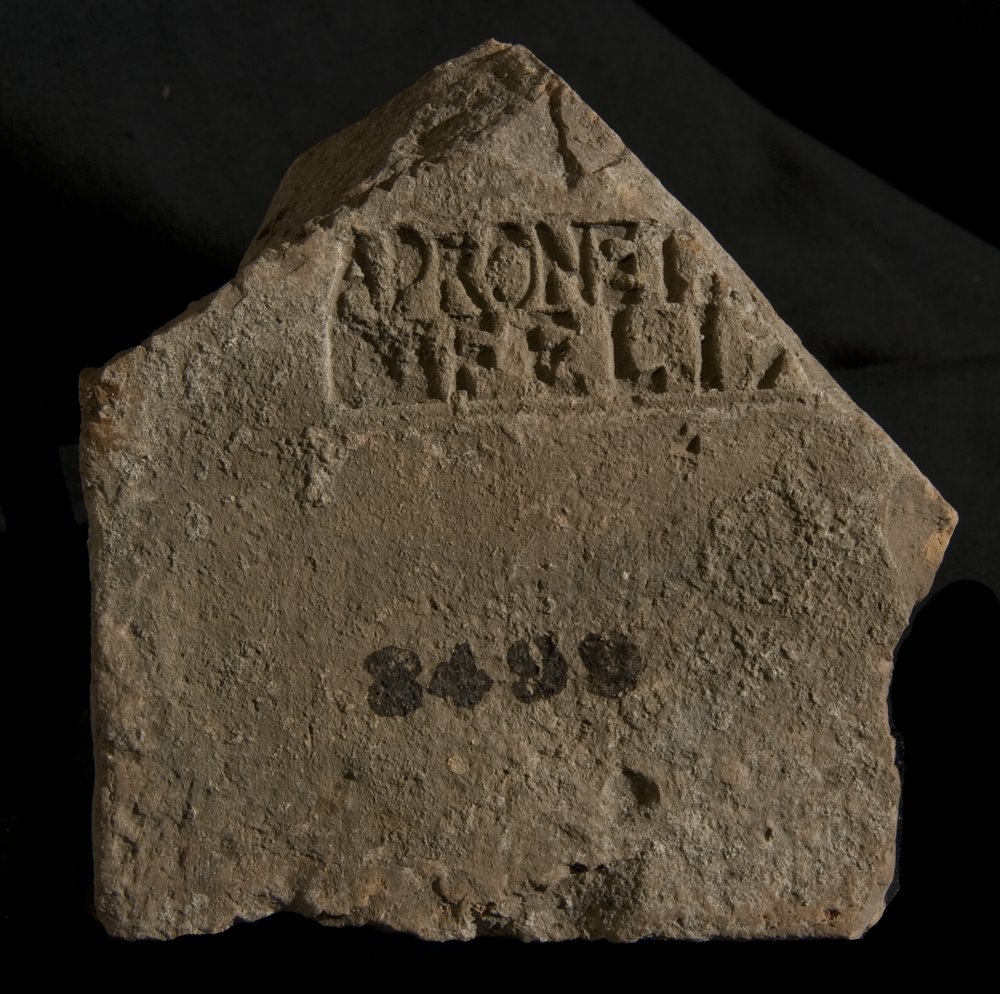 Inv. 8499.TIF