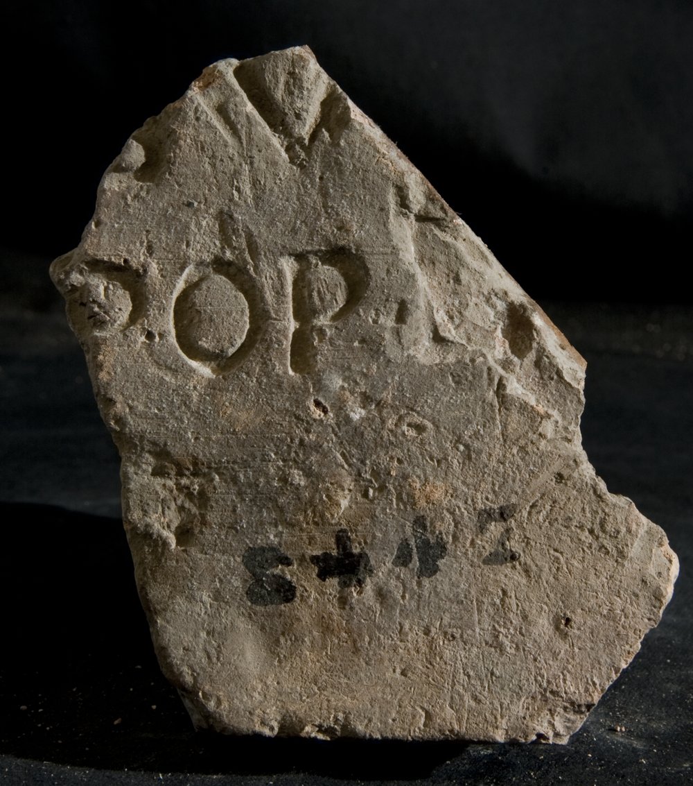 Inv. 8447.TIF