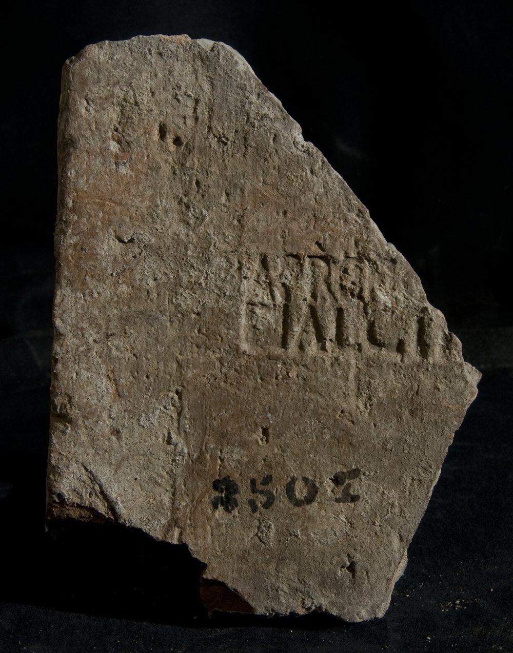Inv. 8507.TIF