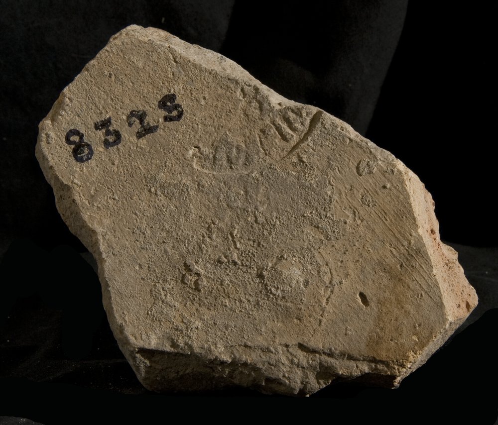 Inv. 8325.TIF