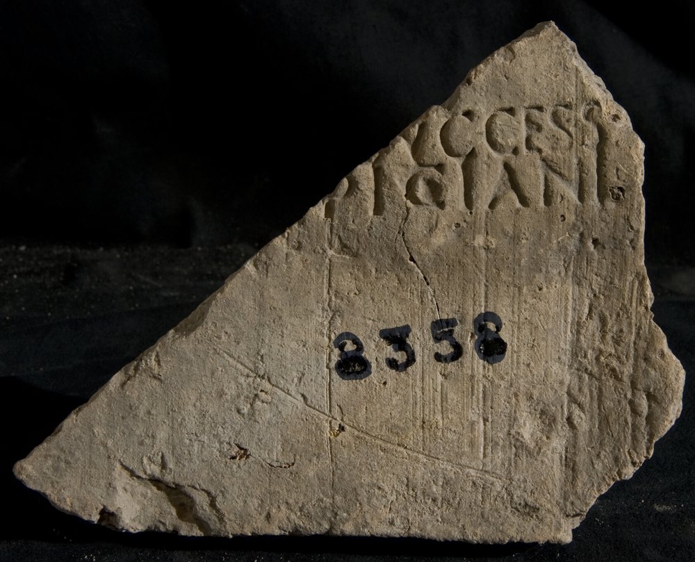 Inv. 8358.TIF