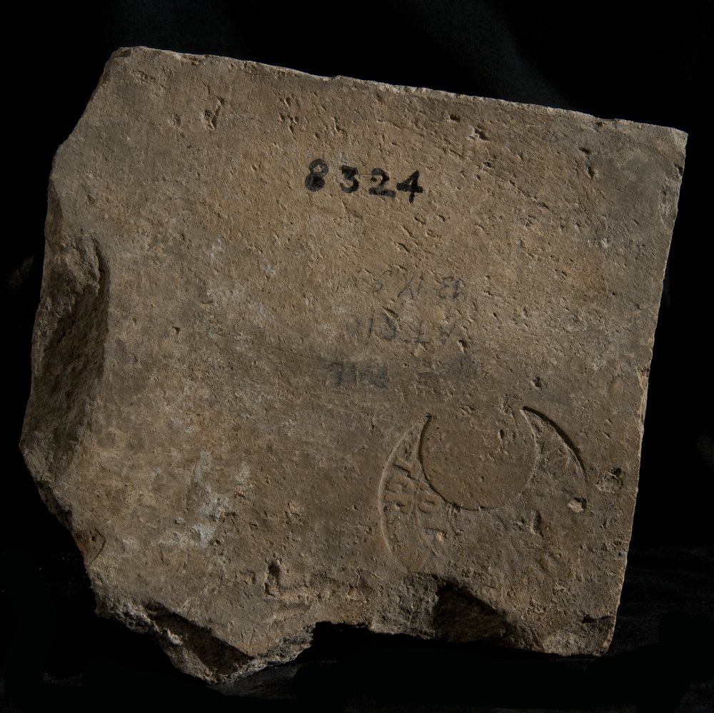 Inv. 8324.TIF