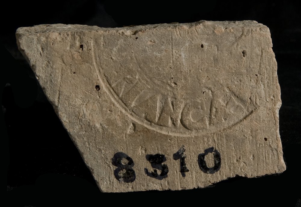 Inv. 8310.TIF