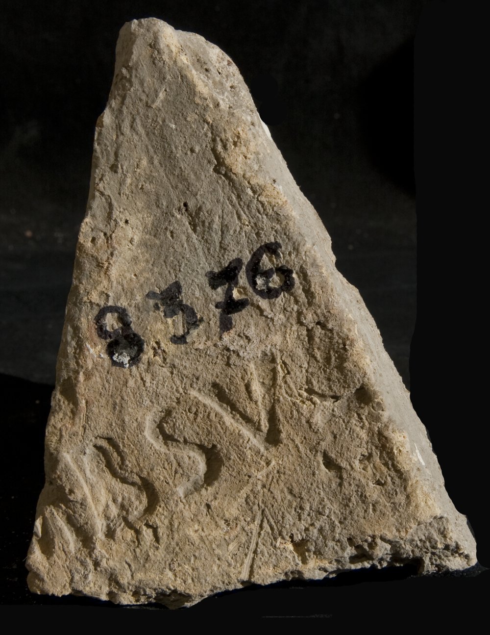 Inv. 8376.TIF