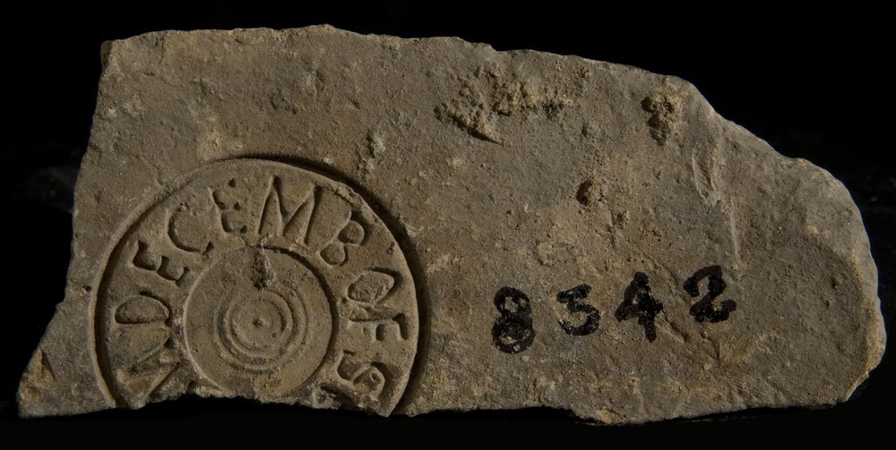 Inv. 8342.TIF