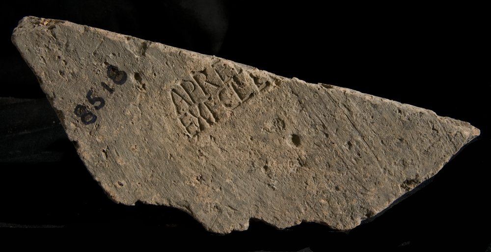 Inv. 8518.TIF