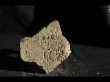 DSC_1747.NEF