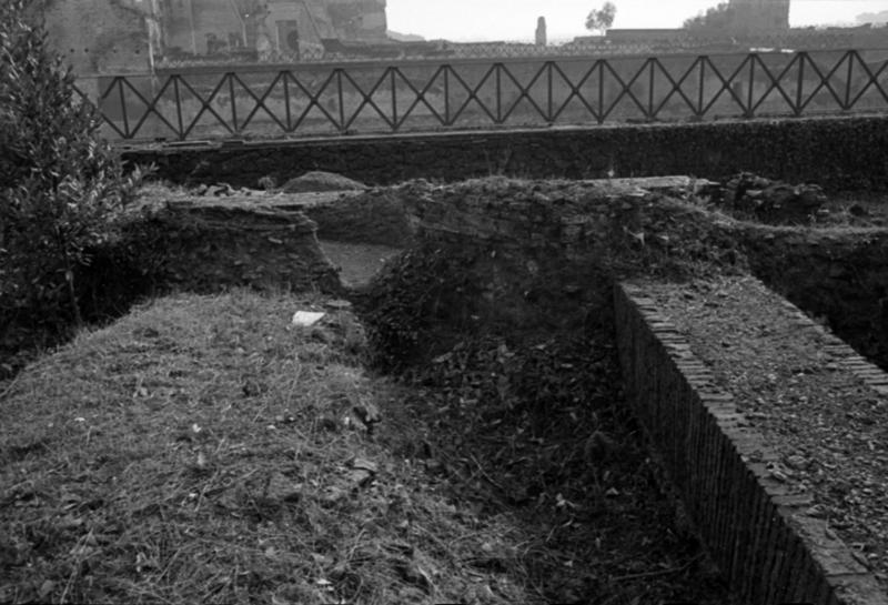1-00014/ 07556/ 16784 - Roma - Palatino - Domus Augustana