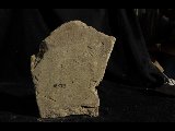 DSC_1615.NEF