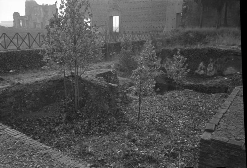1-00014/ 07556/ 16784 - Roma - Palatino - Domus Augustana