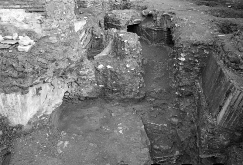 1-00014/ 07556/ 16784 - Roma - Palatino - Domus Augustana