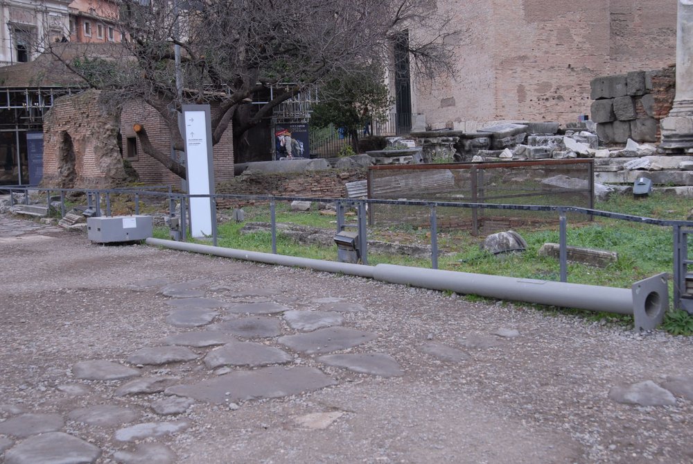 palo a terra.jpg
