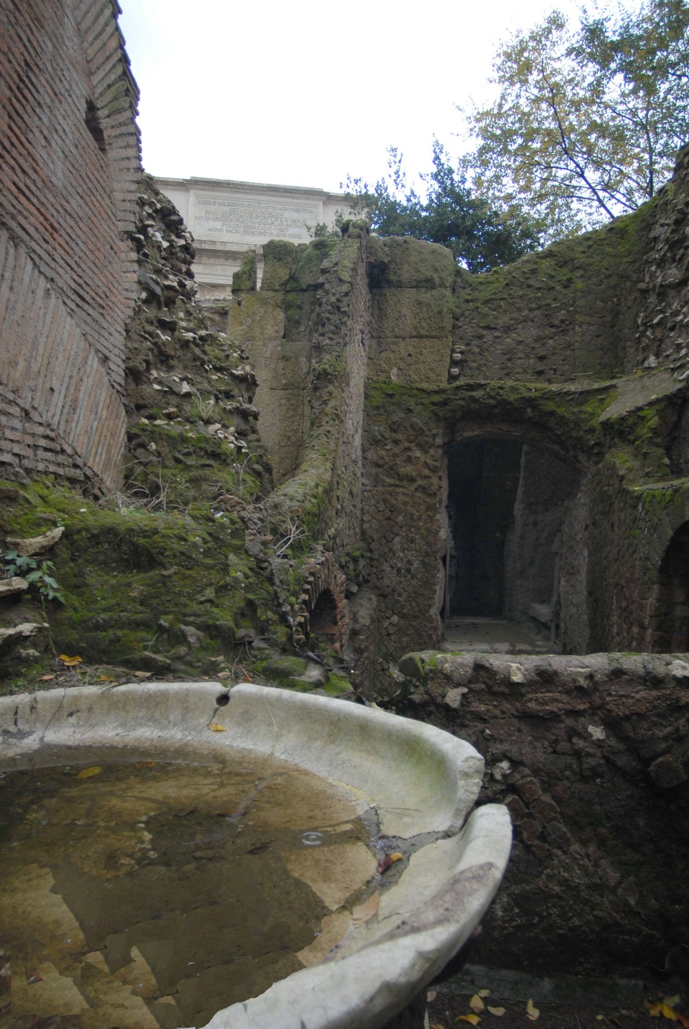 DSC_0068.JPG