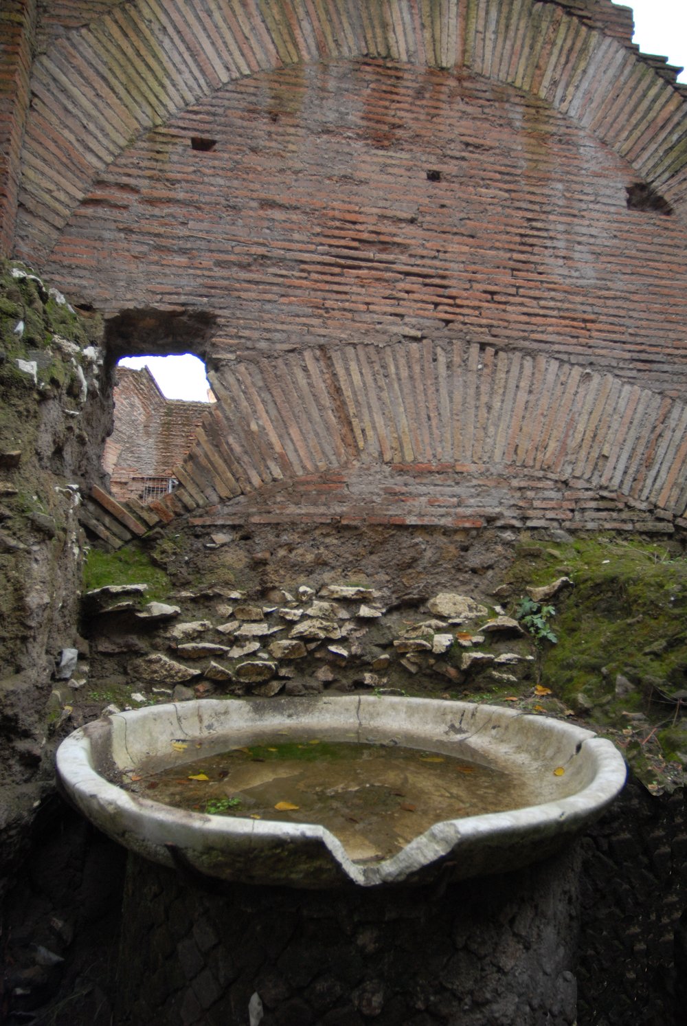 DSC_0067.JPG