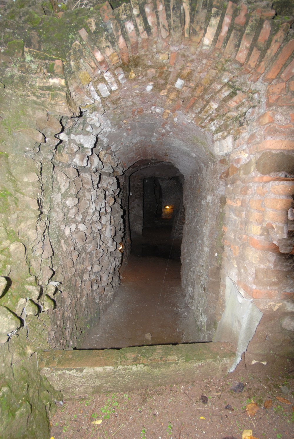 DSC_0025.JPG