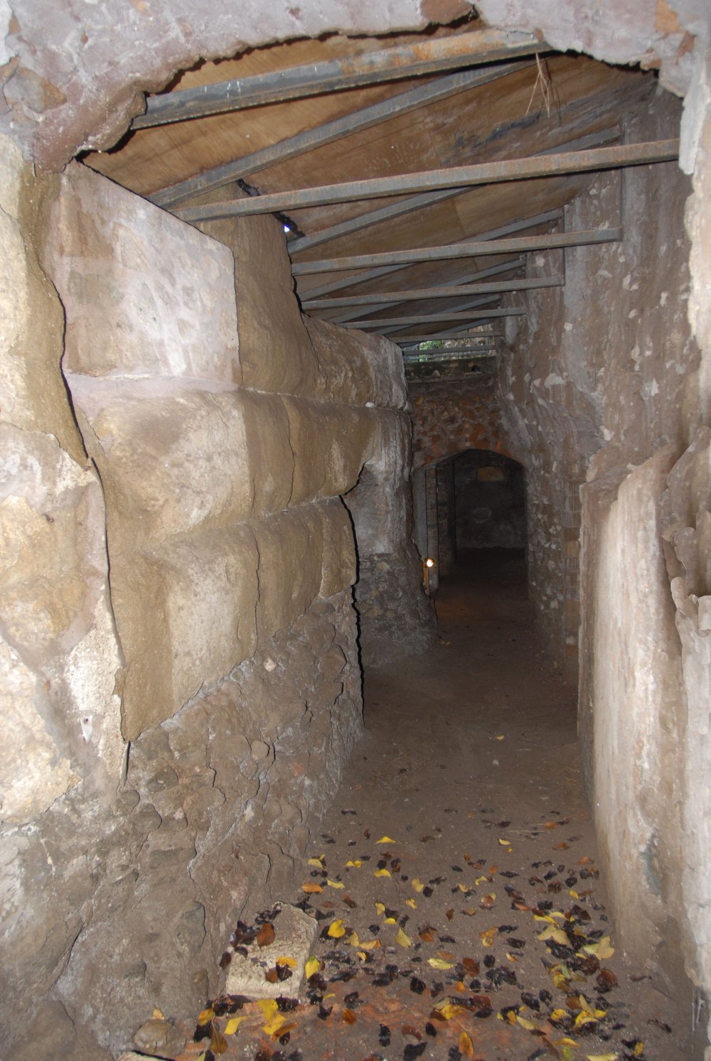 DSC_0033.JPG