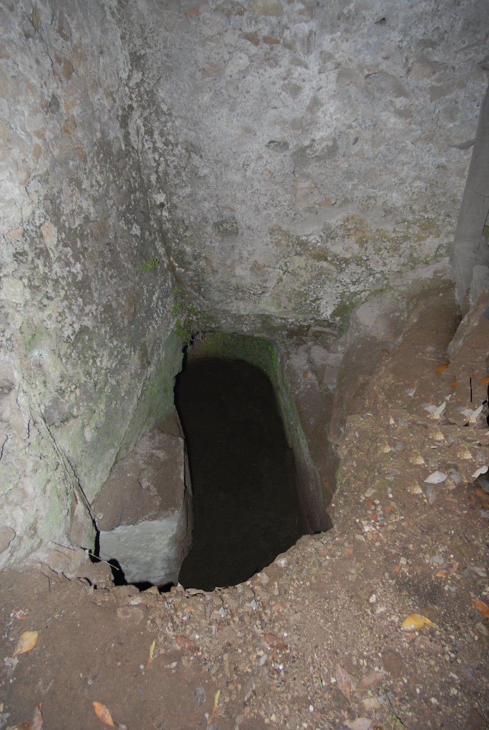 DSC_0070.JPG