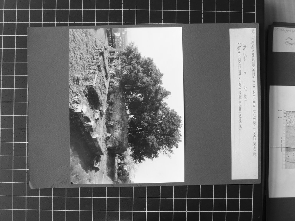 P1020943.JPG