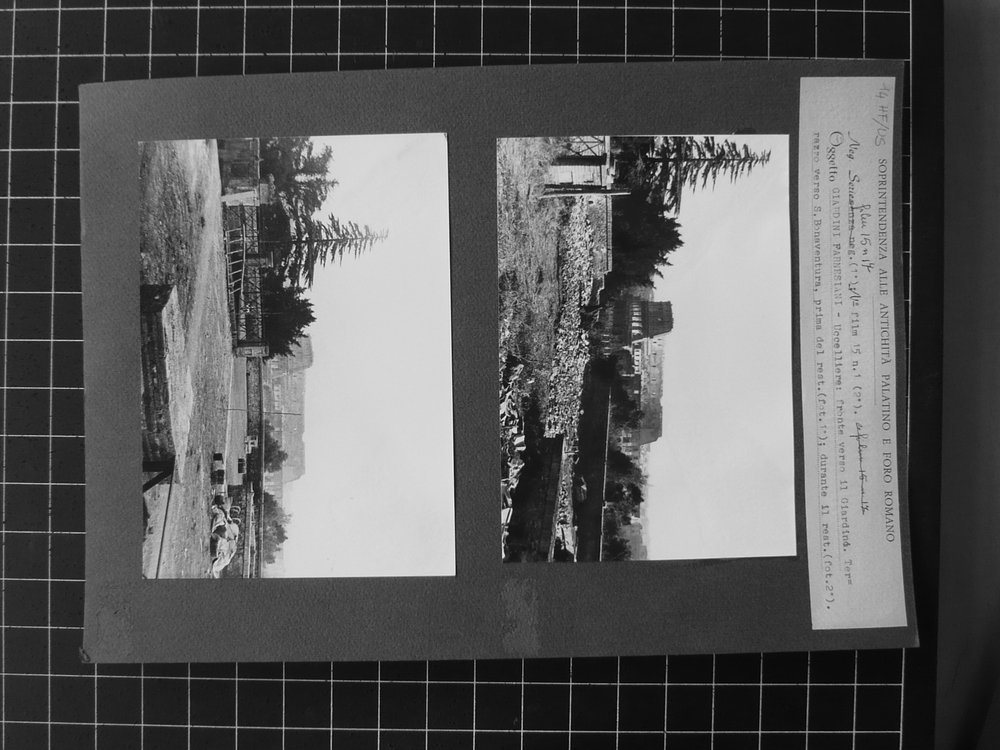 P1020961.JPG