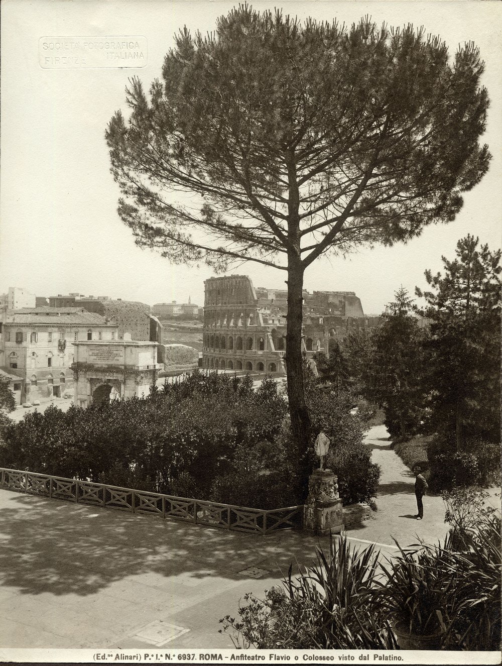 Alinari 6937.jpg