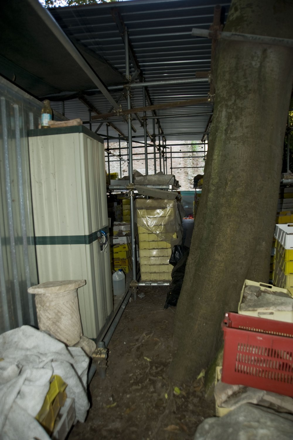 DSC_6582.JPG