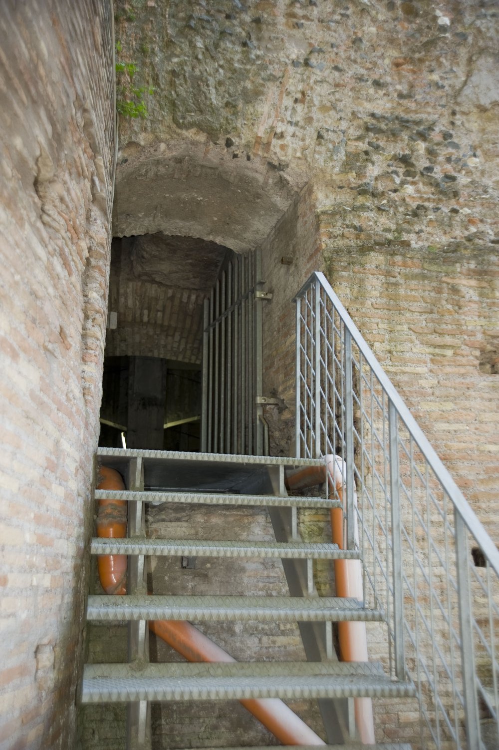 DSC_6062.JPG