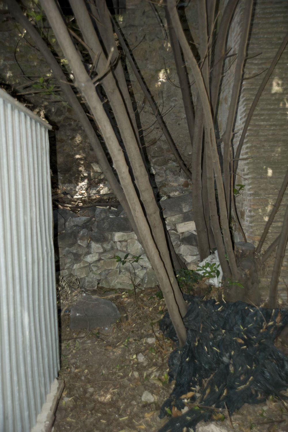 DSC_6120.JPG