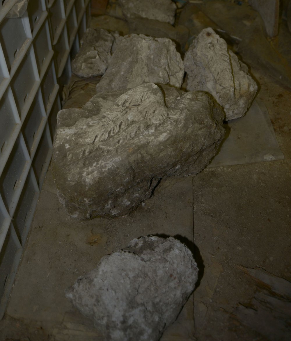 DSC_1226.jpg