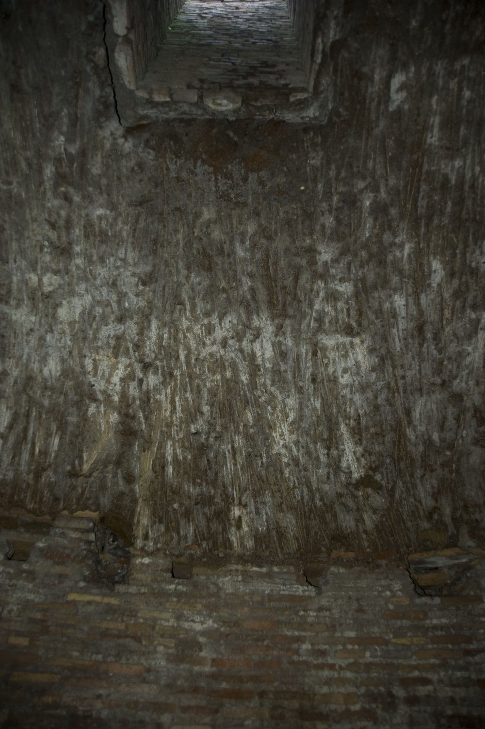 DSC_6614.JPG