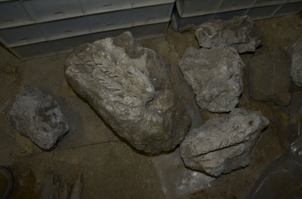 DSC_1227.jpg