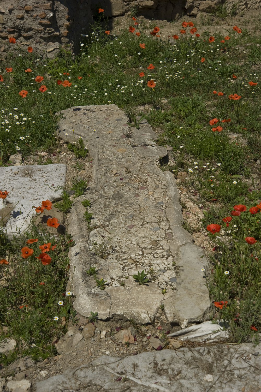 DSC_6158.JPG