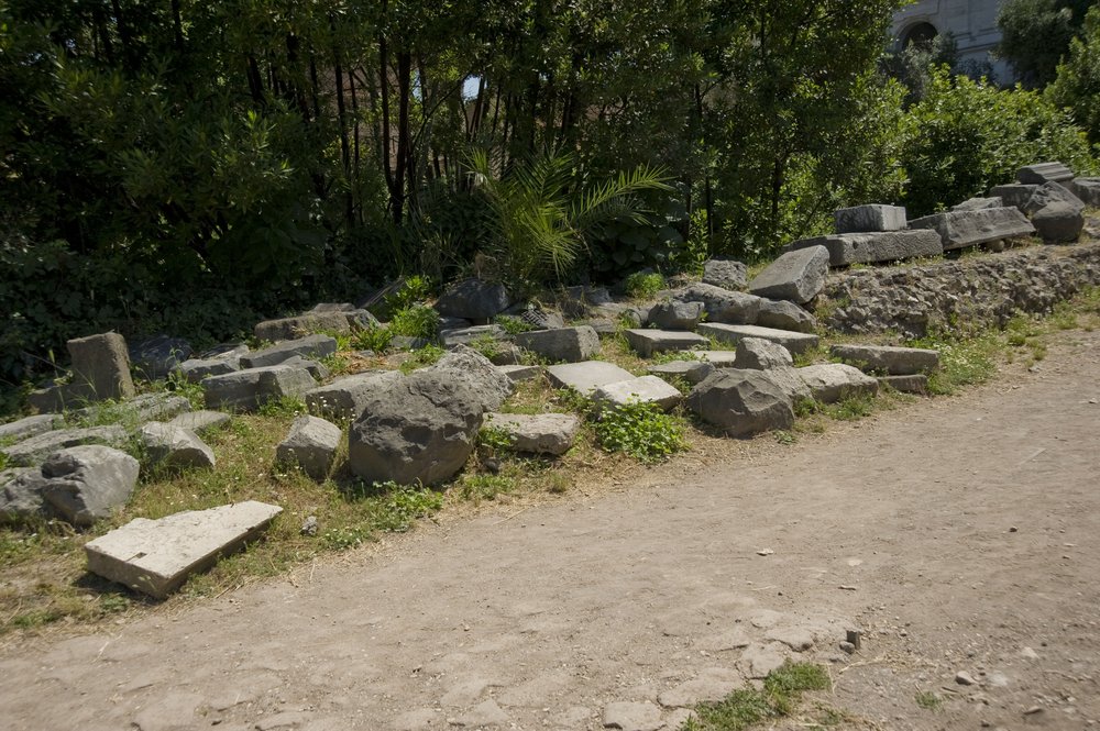 DSC_6159.JPG