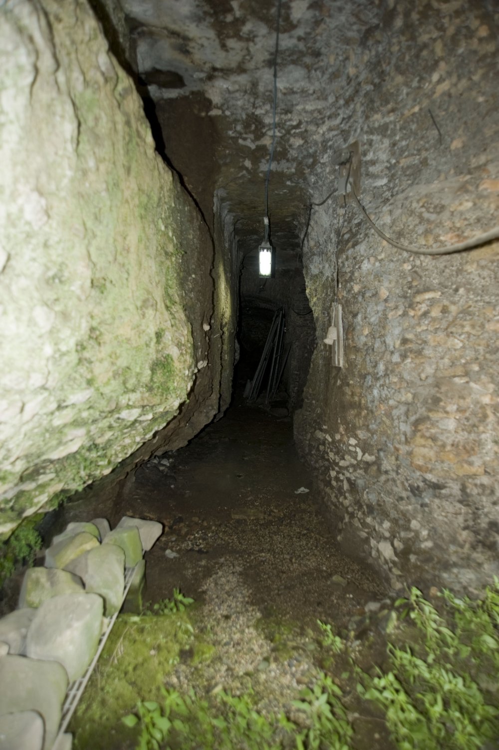 DSC_6381.JPG