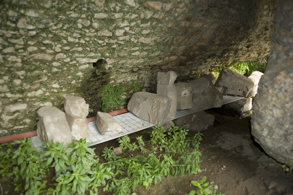 DSC_6377.JPG