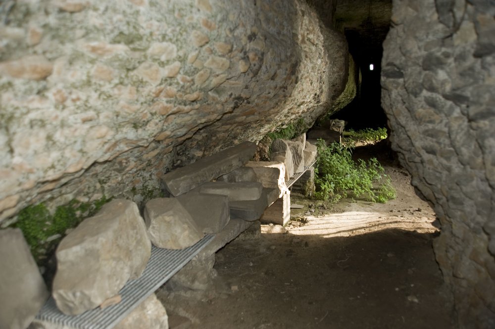 DSC_6379_1.JPG