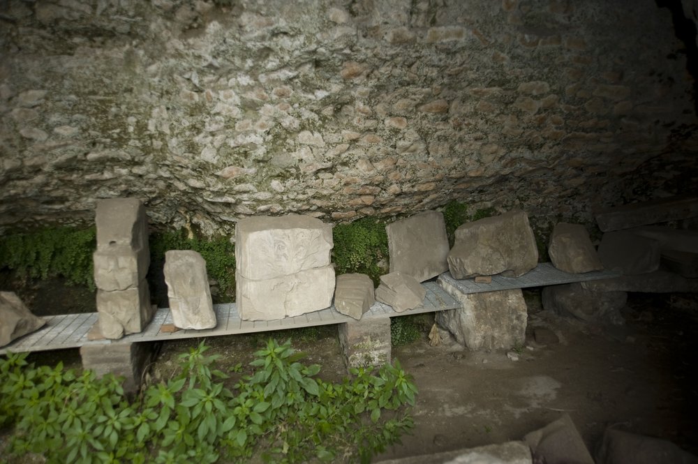 DSC_6394.JPG