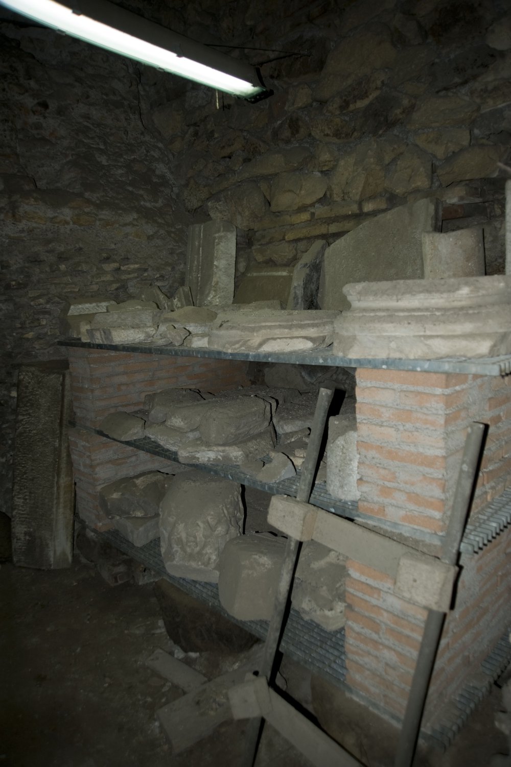 DSC_6374.JPG