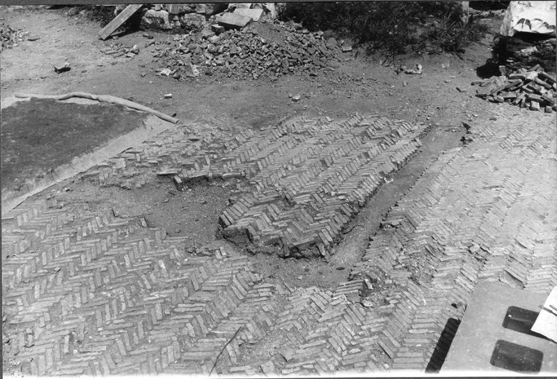 008809 - restauro - Domus Transitoria: distacco del pavimento in opus spicatum davanti al triclinio della Domus Flavia. Aprile-maggio 1964. Neg. serie Rollino 32 nÂ° 21/22