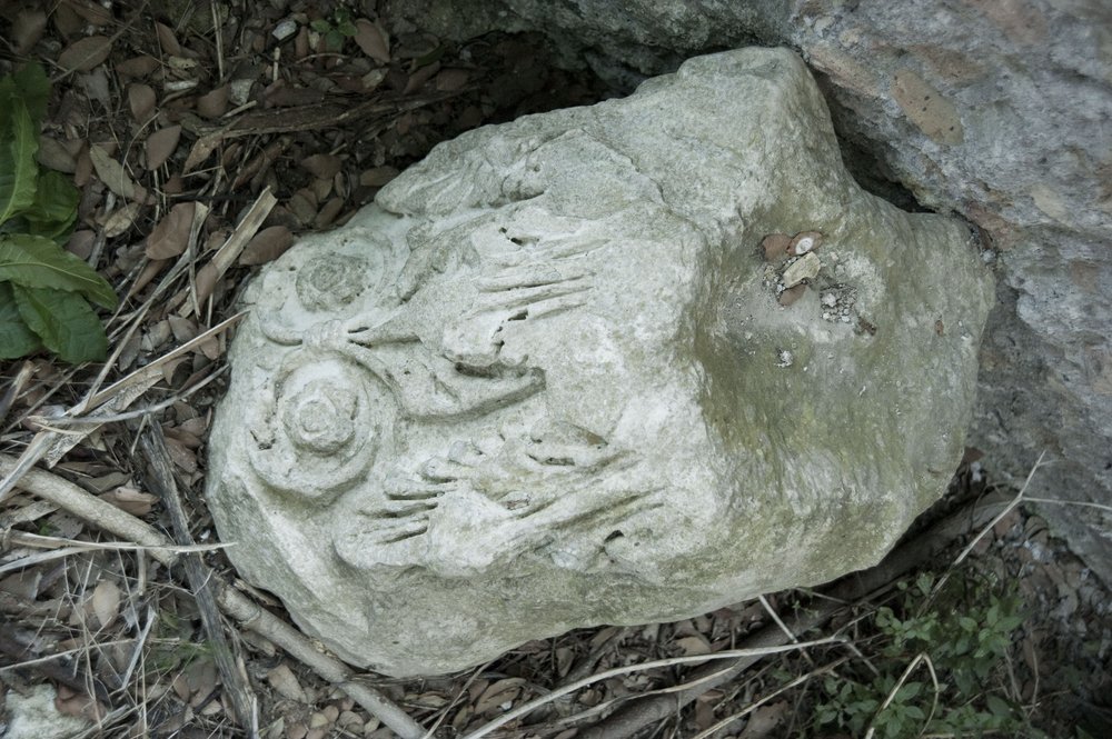 DSC_6796.jpg