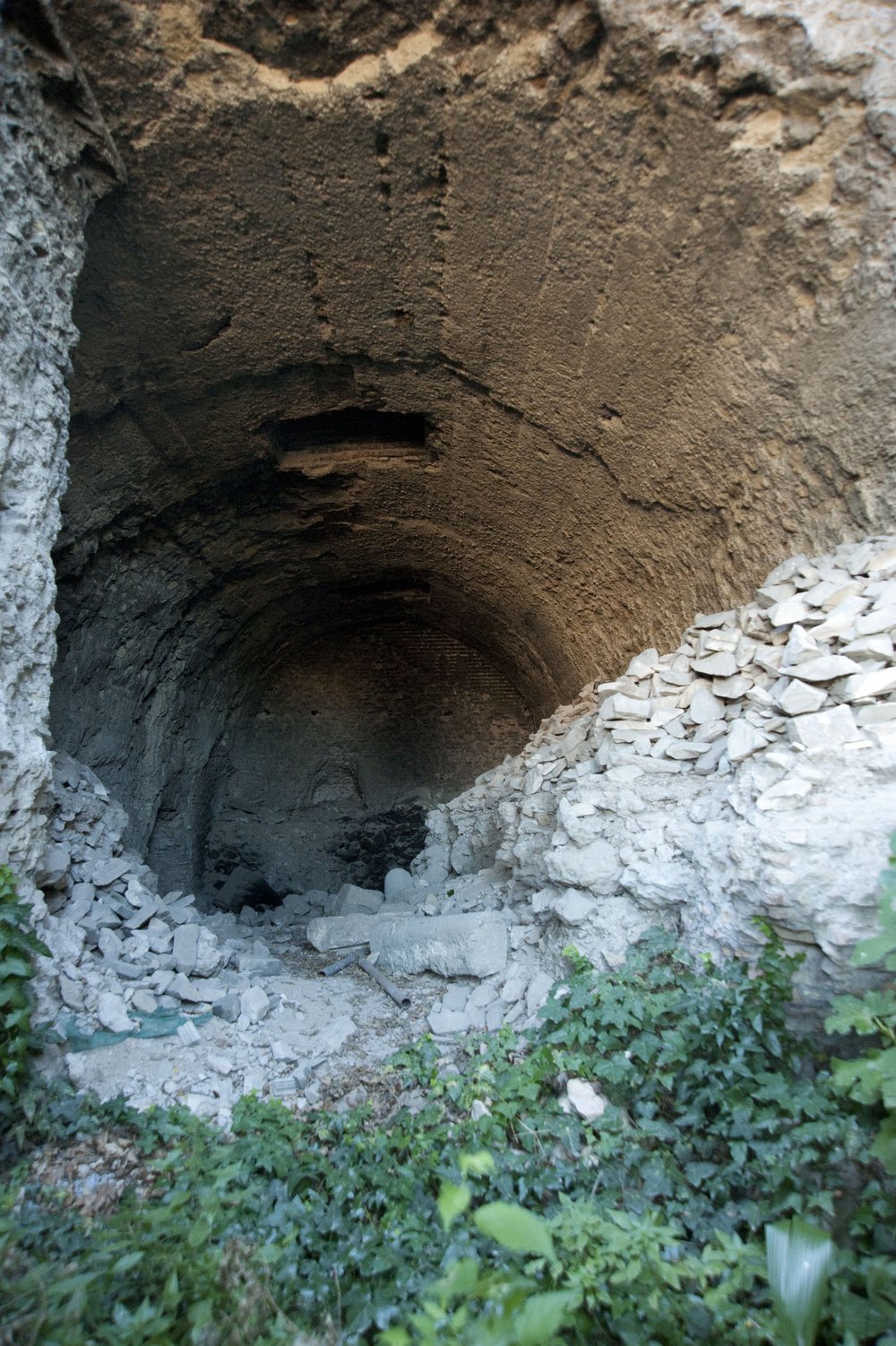 DSC_6795.jpg