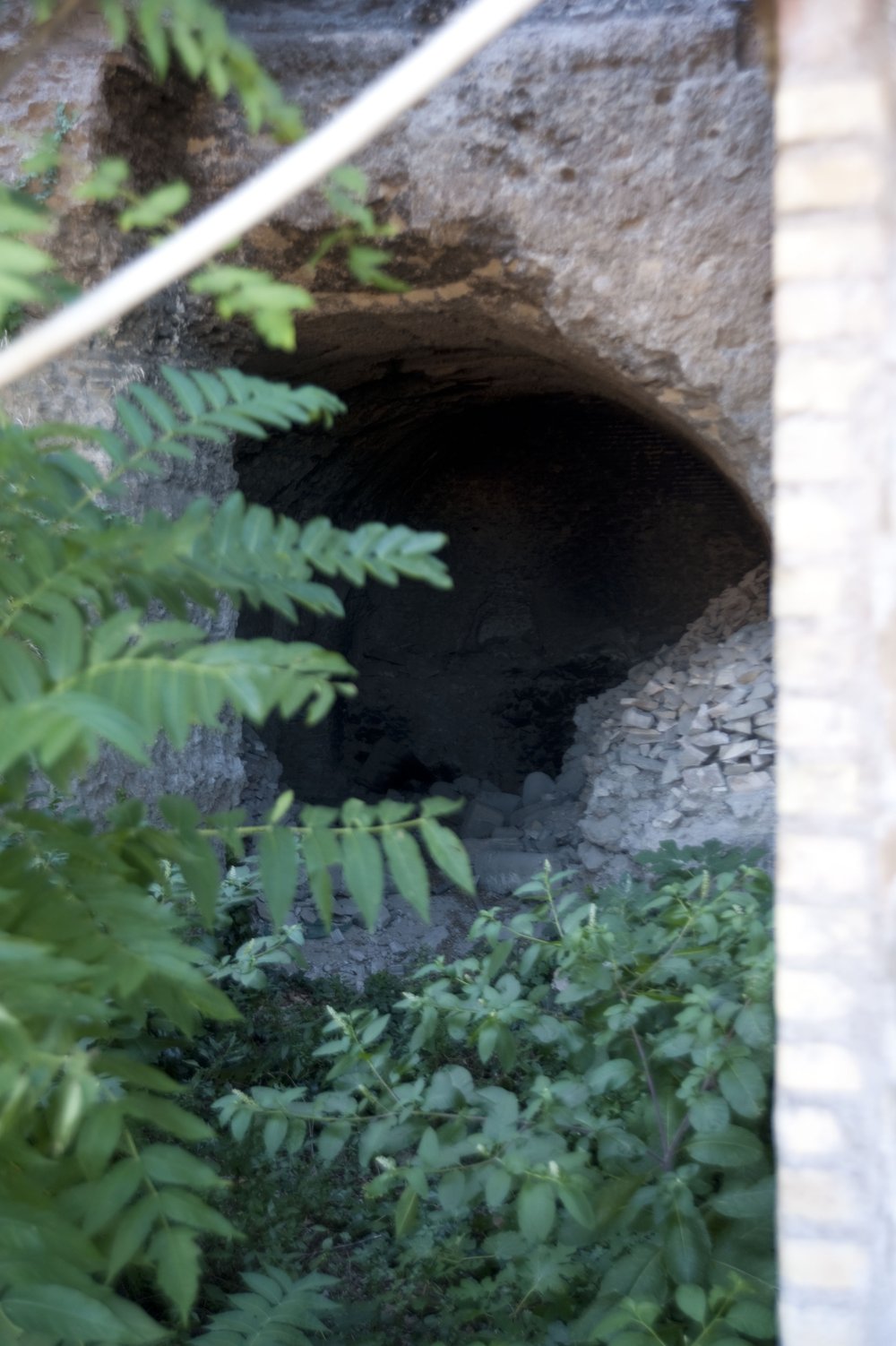 DSC_6786.jpg